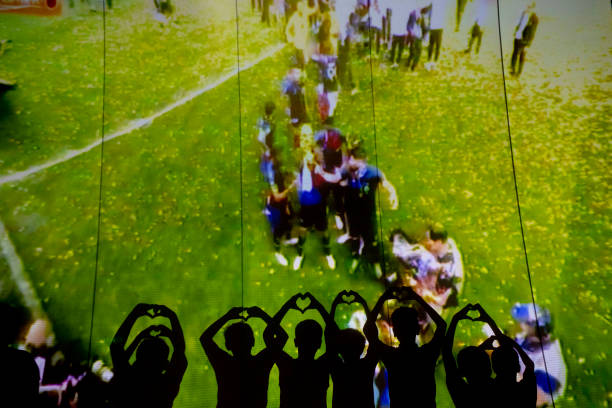 尽管结果令 尽管结果令